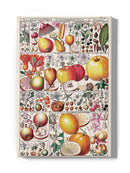 Fruit Chart Wall Art -Vision Studio Designs