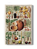 Palm Tree Chart Wall Art -Vision Studio Designs