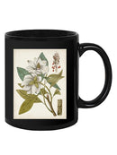 Vintage Charm I Mug -Vision Studio Designs