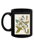 Vintage Charm I Mug -Vision Studio Designs