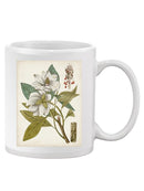 Vintage Charm I Mug -Vision Studio Designs