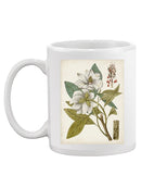 Vintage Charm I Mug -Vision Studio Designs