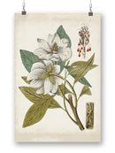 Vintage Charm I Wall Art -Vision Studio Designs