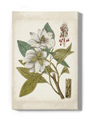 Vintage Charm I Wall Art -Vision Studio Designs