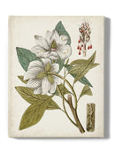 Vintage Charm I Wall Art -Vision Studio Designs