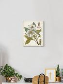 Vintage Charm I Wall Art -Vision Studio Designs