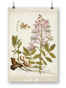 Vintage Charm Ii Wall Art -Vision Studio Designs