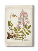 Vintage Charm Ii Wall Art -Vision Studio Designs