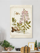 Vintage Charm Ii Wall Art -Vision Studio Designs