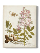 Vintage Charm Ii Wall Art -Vision Studio Designs