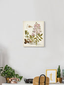 Vintage Charm Ii Wall Art -Vision Studio Designs