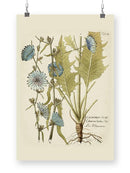 Eloquent Botanical I Wall Art -Vision Studio Designs