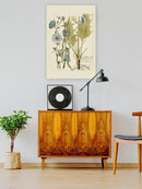 Eloquent Botanical I Wall Art -Vision Studio Designs
