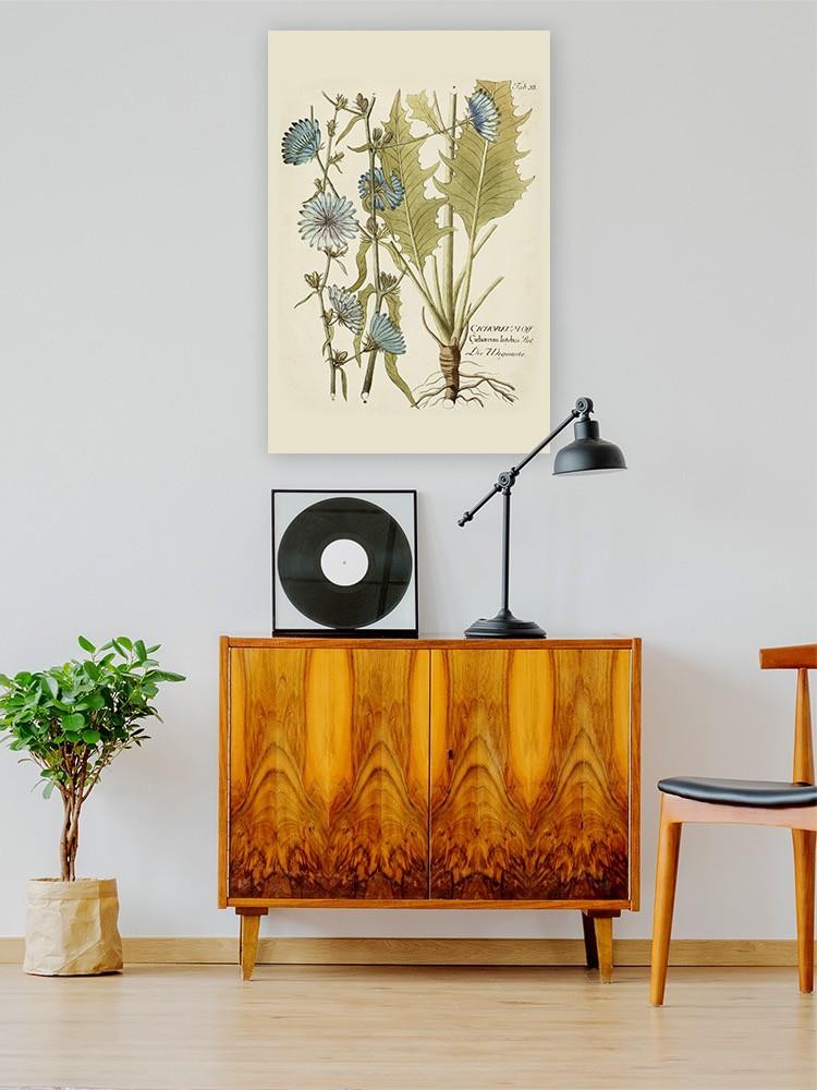 Eloquent Botanical I Wall Art -Vision Studio Designs