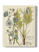 Eloquent Botanical I Wall Art -Vision Studio Designs