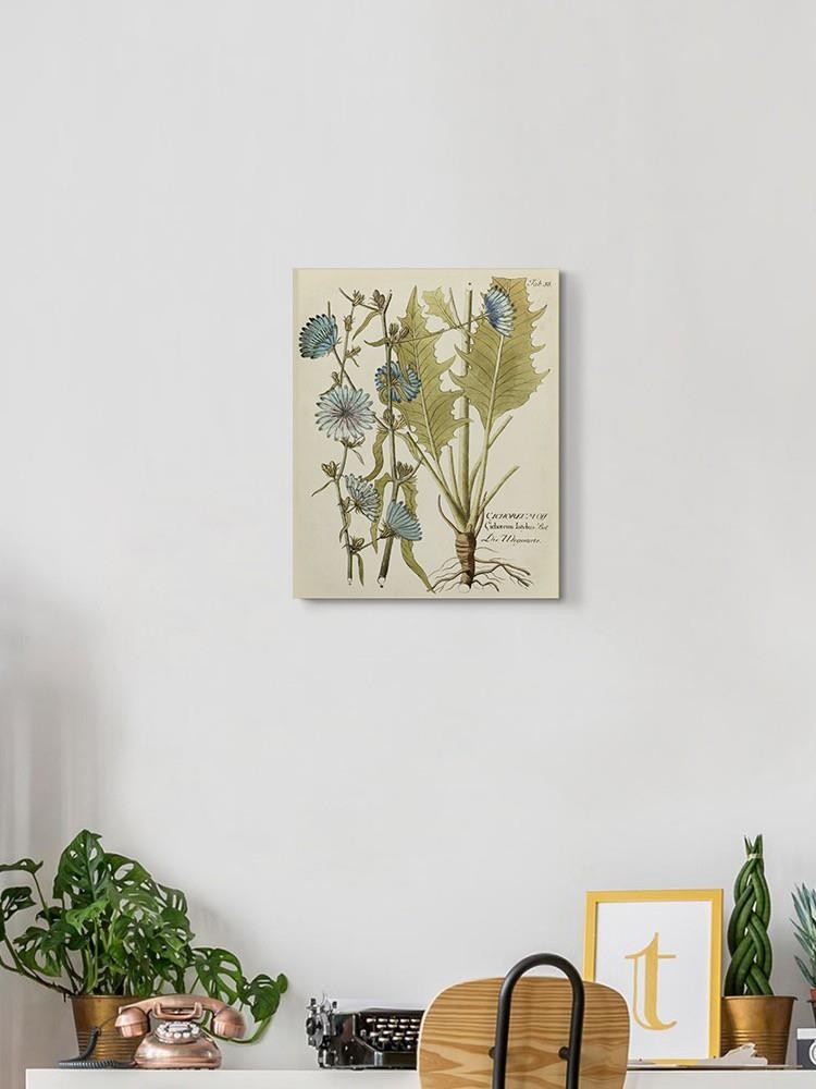 Eloquent Botanical I Wall Art -Vision Studio Designs