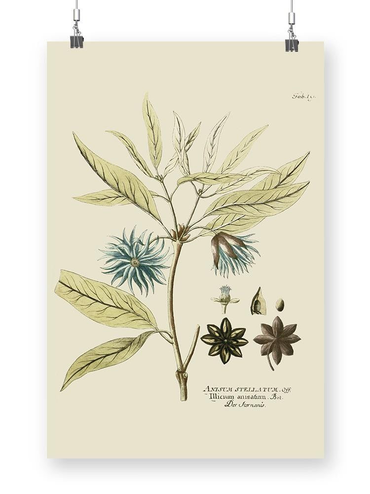 Eloquent Botanical Iii Wall Art -Vision Studio Designs