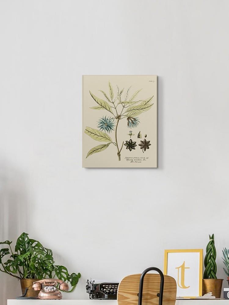 Eloquent Botanical Iii Wall Art -Vision Studio Designs