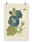 Eloquent Botanical Iv Wall Art -Vision Studio Designs