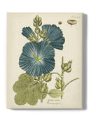 Eloquent Botanical Iv Wall Art -Vision Studio Designs