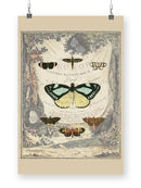 Vintage Butterfly Bookplate Wall Art -Vision Studio Designs