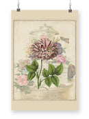 Vintage Rose Bookplate Wall Art -Vision Studio Designs