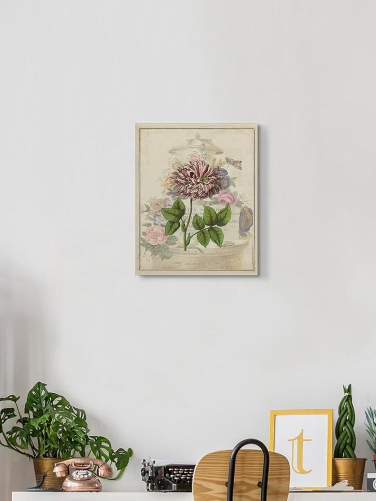 Vintage Rose Bookplate Wall Art -Vision Studio Designs