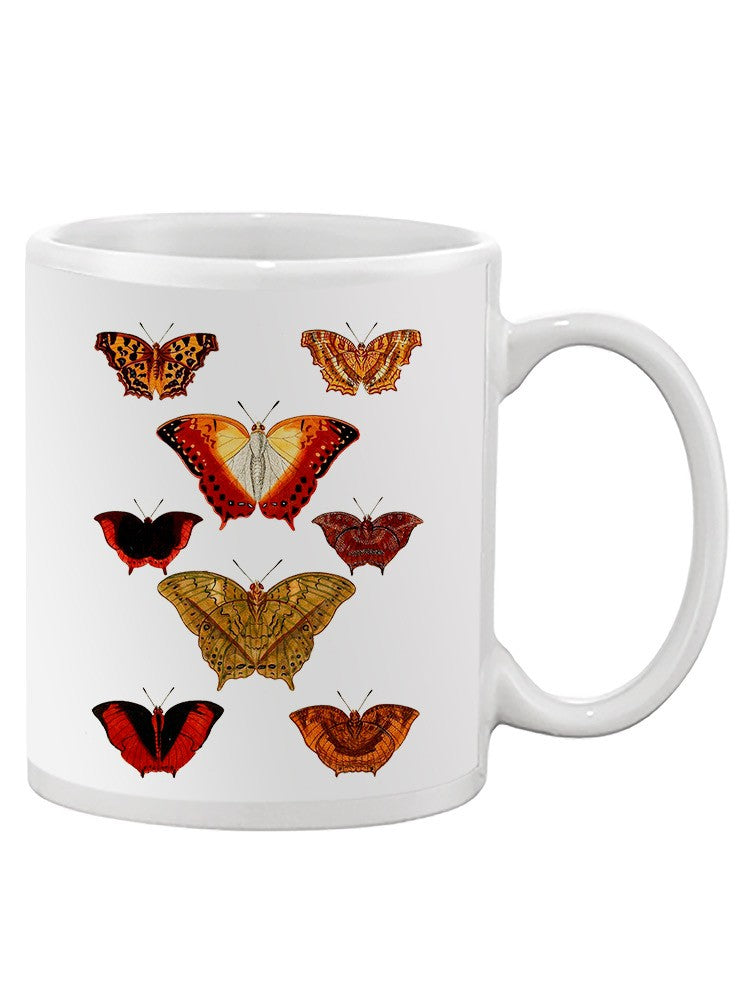 Butterflies Displayed I. Mug -Vision Studio Designs