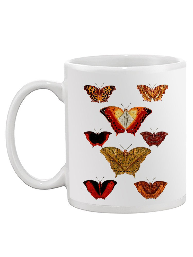 Butterflies Displayed I. Mug -Vision Studio Designs