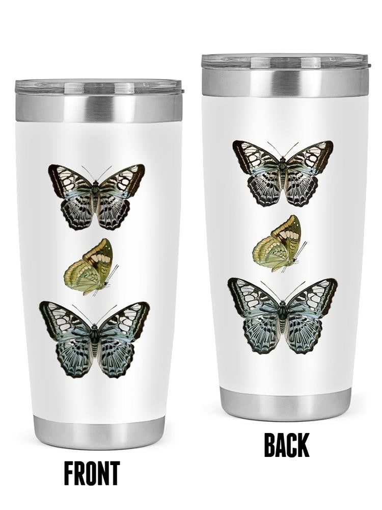 Butterfly Specimen I Tumbler -Vision Studio Designs