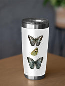 Butterfly Specimen I Tumbler -Vision Studio Designs