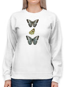 Butterfly Specimen I Sweatshirt -Vision Studio Designs