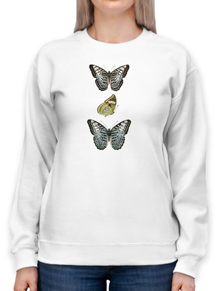 Butterfly Specimen I Sweatshirt -Vision Studio Designs