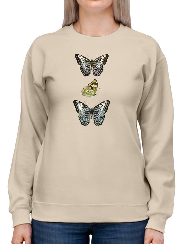 Butterfly Specimen I Sweatshirt -Vision Studio Designs