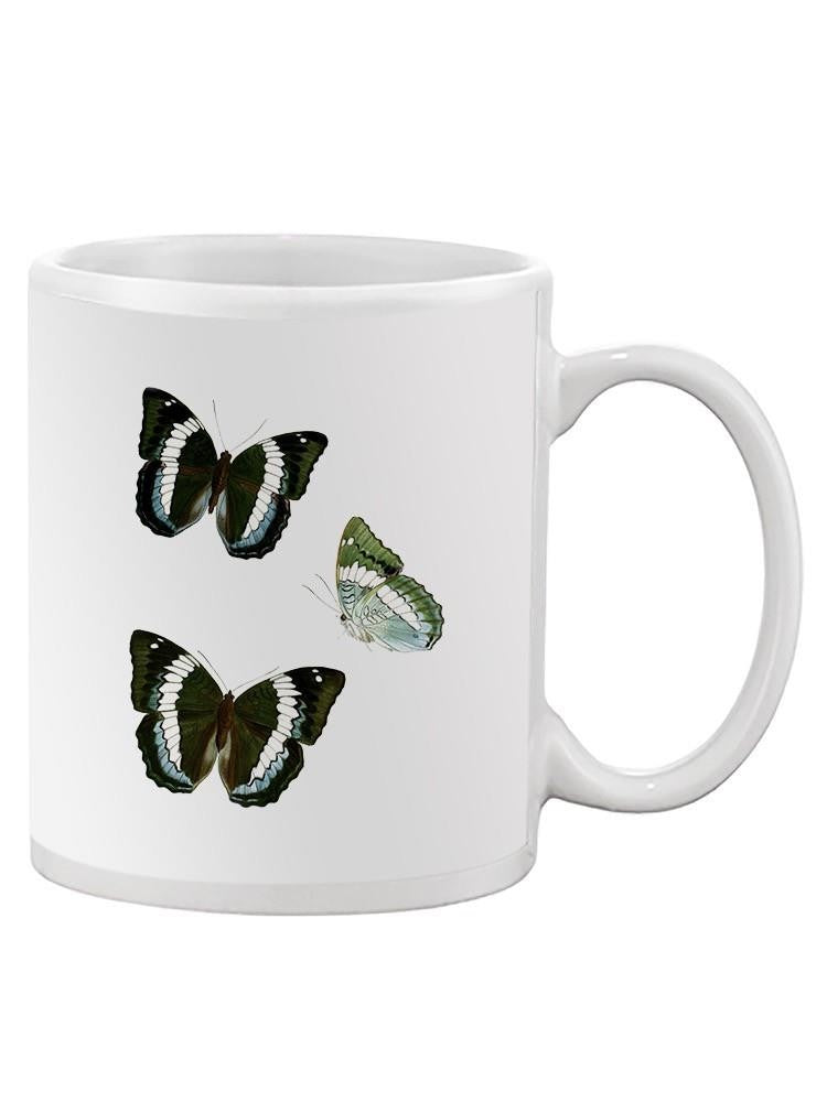Butterfly Specimen Viii Mug -Vision Studio Designs