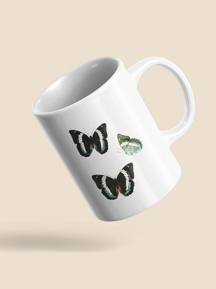 Butterfly Specimen Viii Mug -Vision Studio Designs