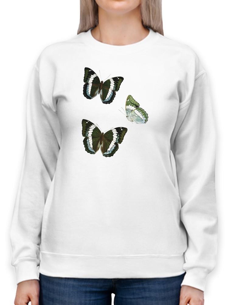 Butterfly Specimen Viii Sweatshirt -Vision Studio Designs