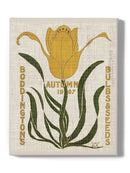 Flower Seed Packs I Wall Art -Vision Studio Designs