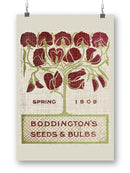 Flower Seed Packs Ii Wall Art -Vision Studio Designs
