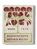 Flower Seed Packs Ii Wall Art -Vision Studio Designs