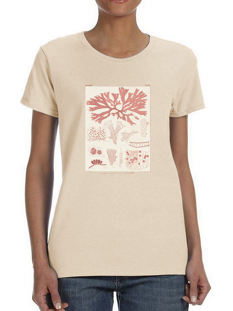 Antique Coral Seaweed Iii T-shirt -Vision Studio Designs