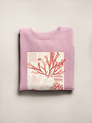 Antique Coral Seaweed Iv Sweatshirt -Vision Studio Designs