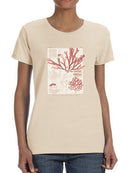 Antique Coral Seaweed Iv T-shirt -Vision Studio Designs