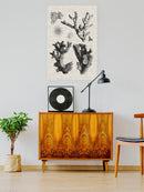 Coral Specimen I Wall Art -Vision Studio Designs