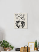 Coral Specimen I Wall Art -Vision Studio Designs