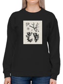 Coral Specimen I Sweatshirt -Vision Studio Designs