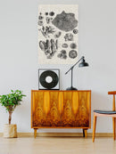 Coral Specimen Ii Wall Art -Vision Studio Designs