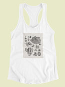 Coral Specimen Ii T-shirt -Vision Studio Designs