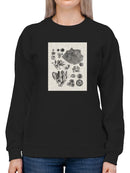 Coral Specimen Ii Sweatshirt -Vision Studio Designs