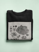 Coral Specimen Ii Sweatshirt -Vision Studio Designs